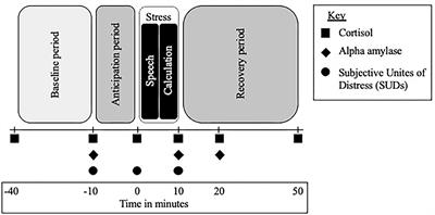 Acute Physiological and Psychological Stress Response in Youth at Clinical High-Risk for Psychosis